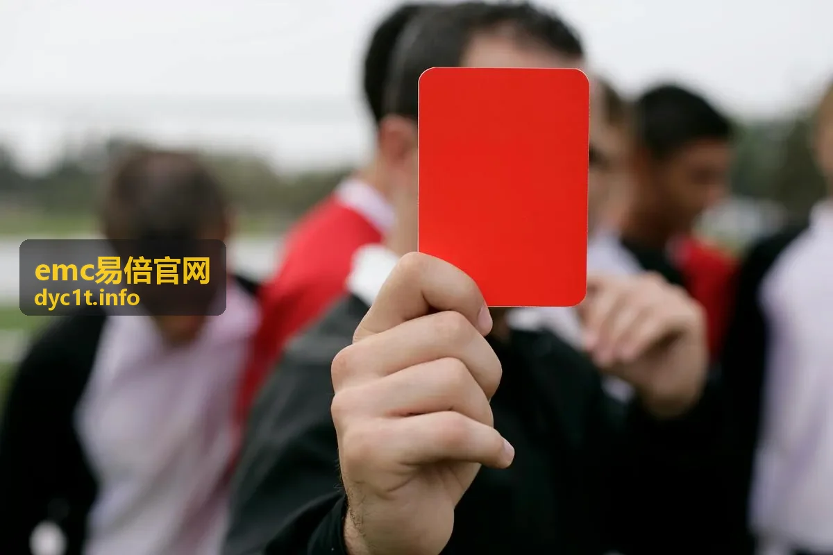 emc易倍运营复盘陪跑服务